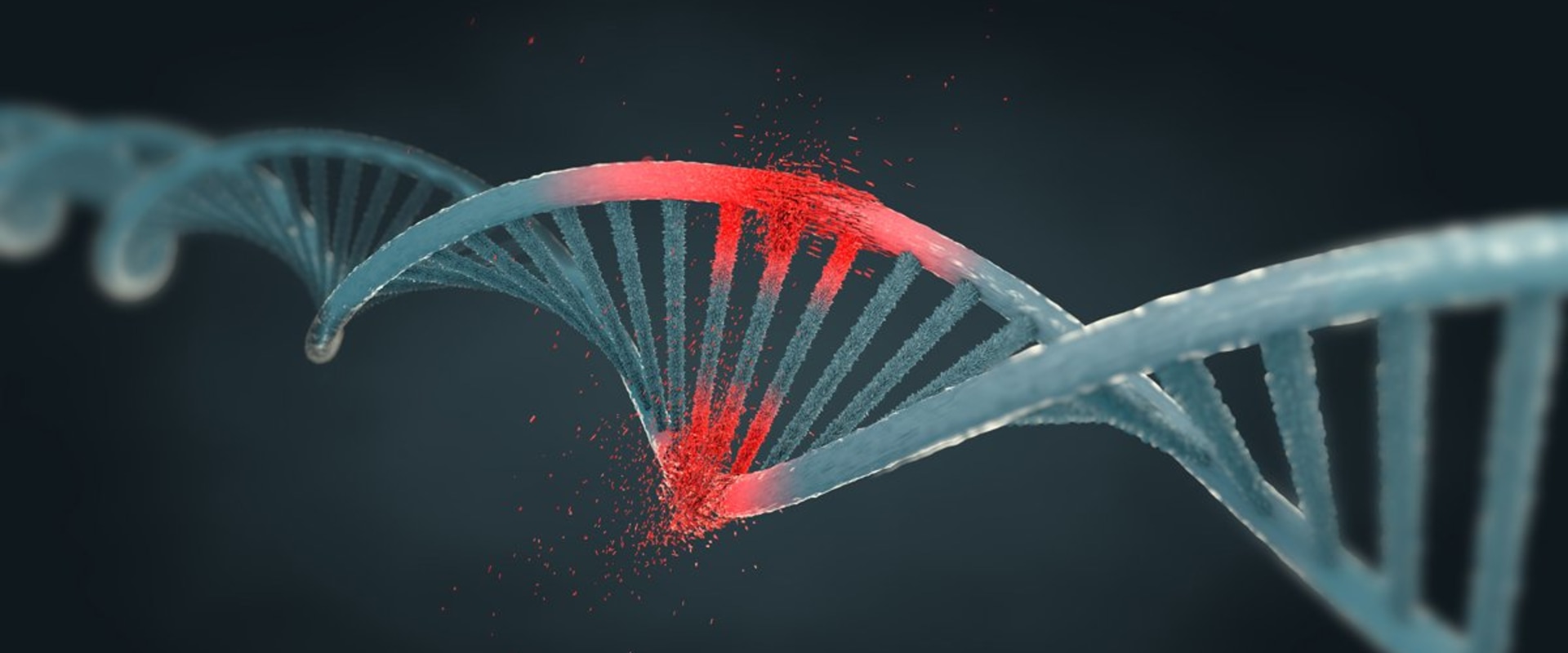 The Complex Effects of Ionizing Radiation on DNA