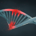 The Complex Effects of Ionizing Radiation on DNA