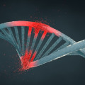 How does ionizing radiation destroy dna?