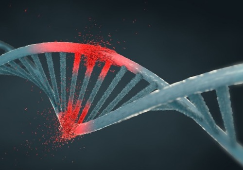 The Complex Effects of Ionizing Radiation on DNA